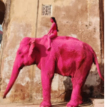 Ruska umjetnica obojila slona u ružičasto