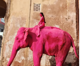 Ruska umjetnica obojila slona u ružičasto