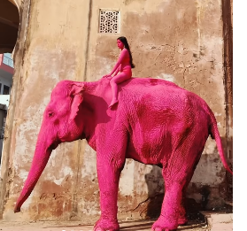 Ruska umjetnica obojila slona u ružičasto