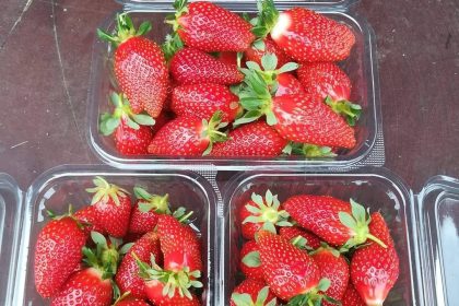 Prve bh. jagode i trešnje stigle na poznatu pijacu!