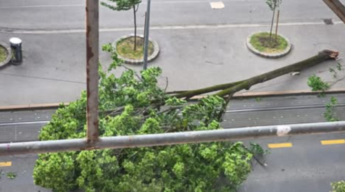 Olujno nevrijeme stiglo u Zagreb!