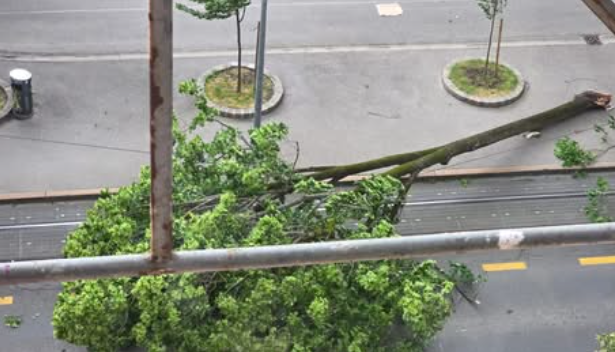 Olujno nevrijeme stiglo u Zagreb!