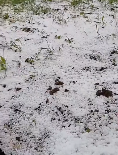 Olujno nevrijeme pogodilo Sloveniju!