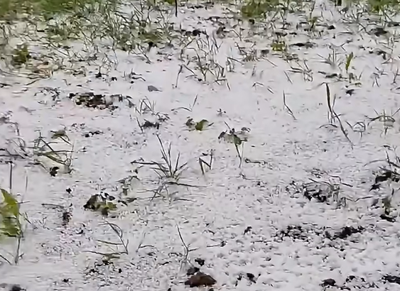 Olujno nevrijeme pogodilo Sloveniju!