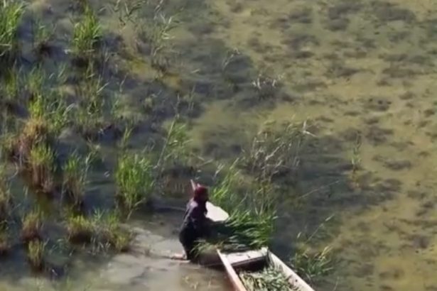 Kiše vratile vodu u drevne iračke močvare!