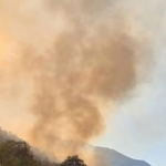 Šumski požar u Popovom polju kod Trebinja