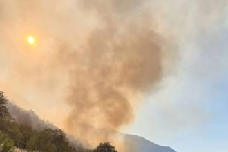 Šumski požar u Popovom polju kod Trebinja