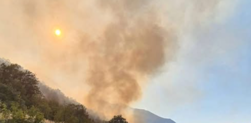Šumski požar u Popovom polju kod Trebinja