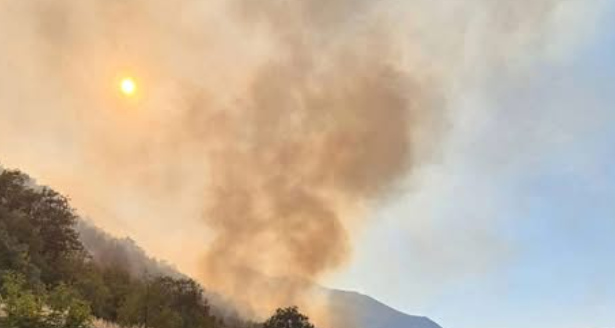 Šumski požar u Popovom polju kod Trebinja