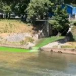 Zašto je Miljacka fluorescentne boje?