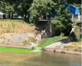 Zašto je Miljacka fluorescentne boje?