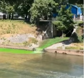 Zašto je Miljacka fluorescentne boje?