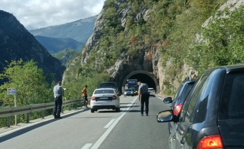 Policija reagovala filmski