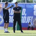 Selektor Barbarez otkrio koji Zmaj ipak ne ide na Mundijal!