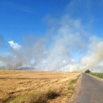 Požar kod Trebinja se kreće prema kućama: Stanovnici pokušavaju odbraniti domove!