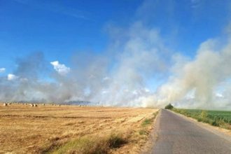 Požar kod Trebinja se kreće prema kućama: Stanovnici pokušavaju odbraniti domove!