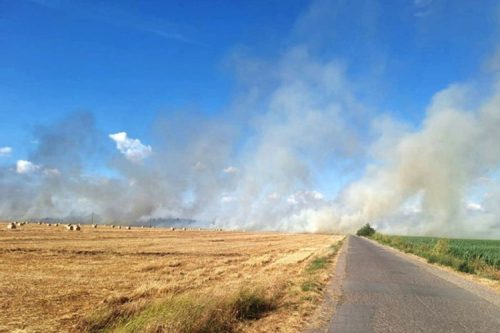 Požar kod Trebinja se kreće prema kućama: Stanovnici pokušavaju odbraniti domove!