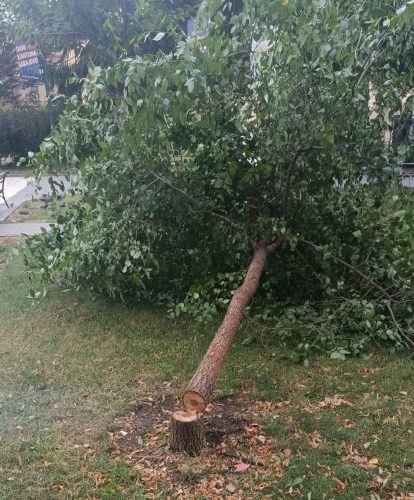 Čin Vandalizma u centru Sarajeva