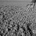 Nova faza fenomena El Nino: Suše, poplave i toplinski talasi!