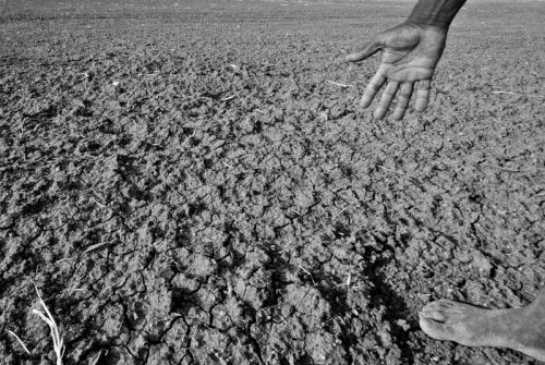 Nova faza fenomena El Nino: Suše, poplave i toplinski talasi!