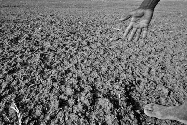 Nova faza fenomena El Nino: Suše, poplave i toplinski talasi!