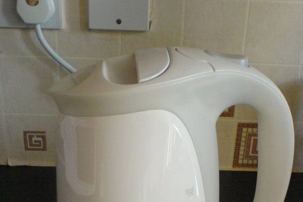 Stručnjaci upozoravaju: Prije odlaska iz kuće obavezno isključite ove aparate!