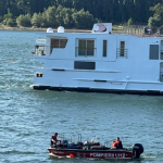 Kruzer sa 238 ljudi nasukao se na Dunavu, u toku evakuacija putnika!