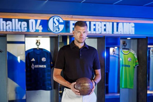 Edin Džeko proglašen igračem sezone u Šalkeu!