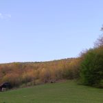 Vremenska prognoza: Narandžasti meteoalarm i dalje na snazi, temperature do 42 stepena!
