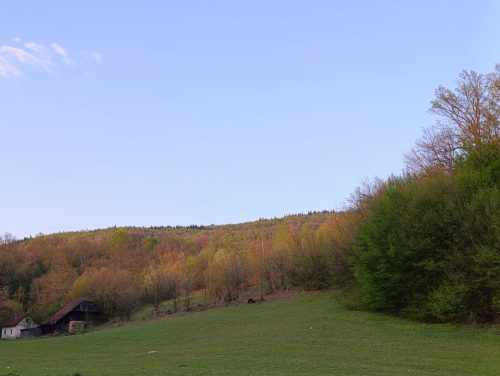 Vremenska prognoza: Narandžasti meteoalarm i dalje na snazi, temperature do 42 stepena!
