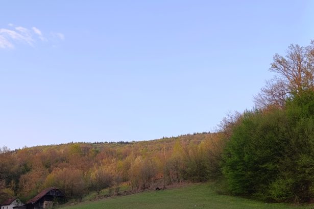 Vremenska prognoza: Narandžasti meteoalarm i dalje na snazi, temperature do 42 stepena!