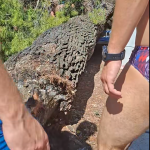 Stablo palo na kupače na plaži u Hrvatskoj, povrijeđeno i dvoje djece!