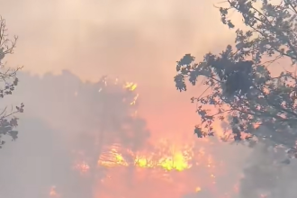 Veliki požar zahvatio Pelješac! Širi se velikom brzinom!
