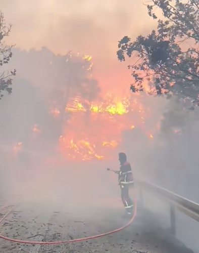 Veliki požar zahvatio Pelješac! Širi se velikom brzinom!