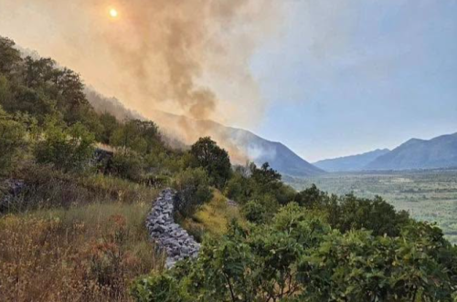 Požarna linija oko Trebinja duga 25 kilometara!