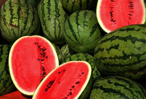 Lubenica za doručak? Idealno sa grčkim jogurtom, bademima ili chia sjemenkama! 