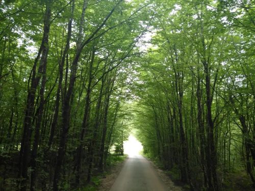 Stres je mnogo štetniji nego što mislimo! Evo kako brzo smiriti tijelo i um!