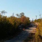 Oktobar je mjesec u kojem jesen pokaže sve svoje čari!