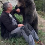 Medvjedica Maša ima 150 kg, ali i dalje želi sjediti Petru u krilu: Pronađena kao mladunče bez majke, Petar joj osigurao dom!