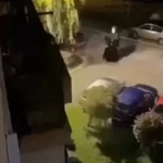 Utvare stigle u još jedan bh. grad! Horor prizori!