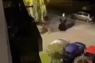 Utvare stigle u još jedan bh. grad! Horor prizori!