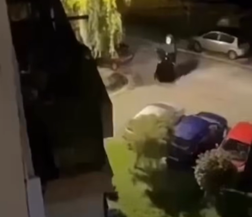 Utvare stigle u još jedan bh. grad! Horor prizori!