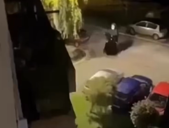 Utvare stigle u još jedan bh. grad! Horor prizori!