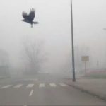 BIHAMK: Na pojedinim dionicama vidljivost smanjena zbog magle! Vozite oprezno!