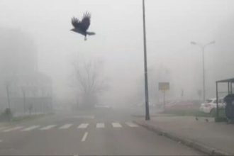 BIHAMK: Na pojedinim dionicama vidljivost smanjena zbog magle! Vozite oprezno!