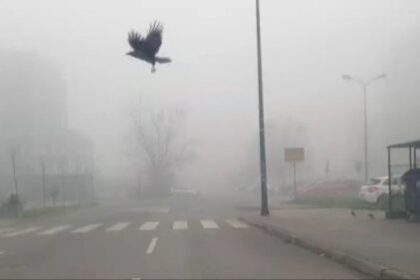 BIHAMK: Na pojedinim dionicama vidljivost smanjena zbog magle! Vozite oprezno!