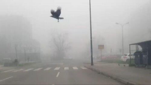 BIHAMK: Na pojedinim dionicama vidljivost smanjena zbog magle! Vozite oprezno!