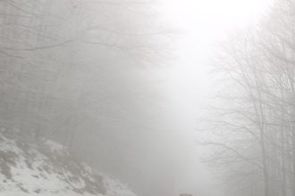 Meteorolozi najavljuju veliko zahlađenje i snijeg već početkom novembra!