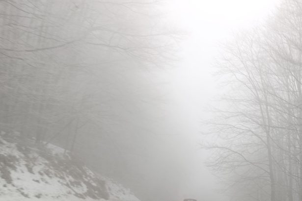 Meteorolozi najavljuju veliko zahlađenje i snijeg već početkom novembra!